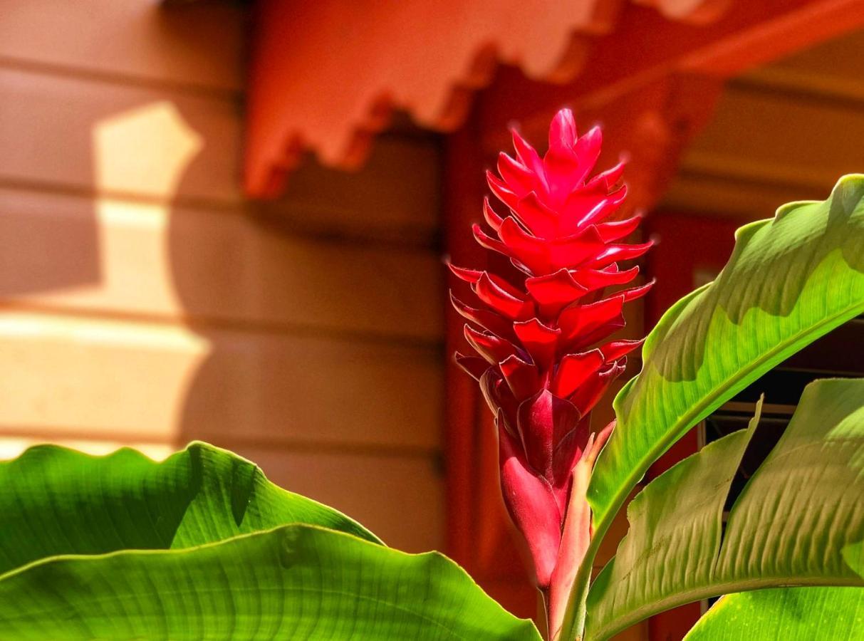 Hotel Bambou & Spa เลส์ทรัวส์-ซีเลต์ ภายนอก รูปภาพ